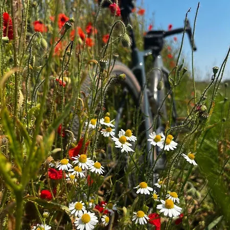 Wschód Nad Polaną 17