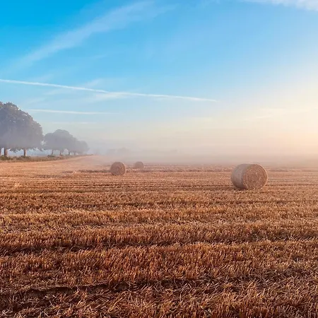 Wschód Nad Polaną 17 Dobrzyn (Czluchow)