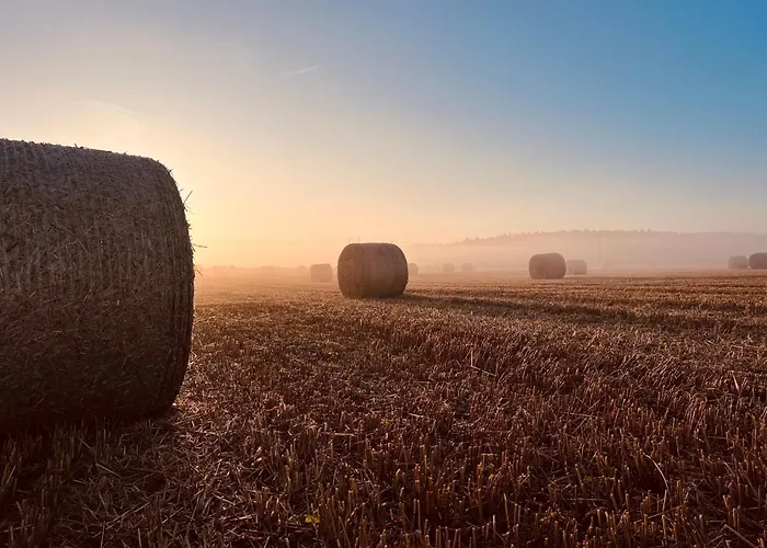 Wschód Nad Polaną 17 * Dobrzyn (Czluchow)