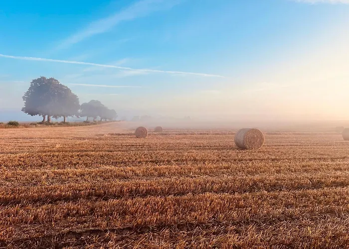 Wschód Nad Polaną 17 Dobrzyn (Czluchow)