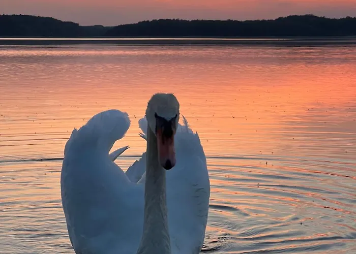 Villa Wschod Nad Polana 17