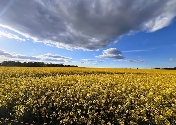 Wschód Nad Polaną 17 Willa Dobrzyn (Czluchow)